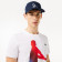 Pack t-shirt et casquette Lacoste Tennis x Novak Djokovic