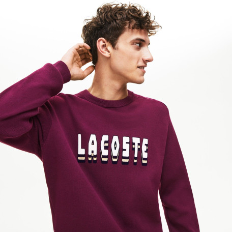 Lacoste Pull en tricot violet à col rond imprimé Relax Fit homme