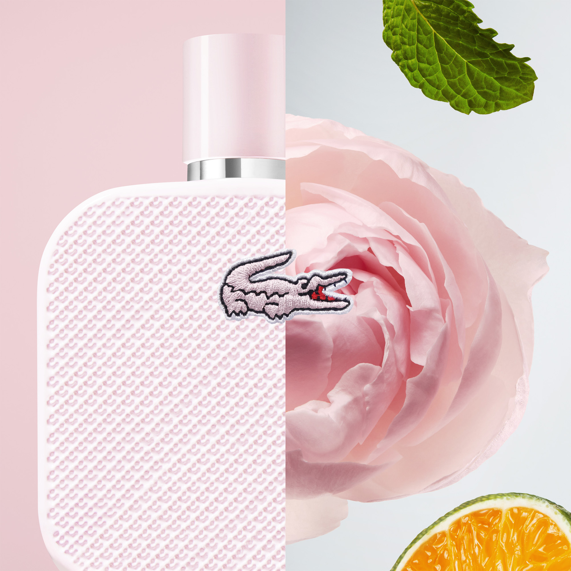 L.12.12 Rose Eau de Parfum 100ml